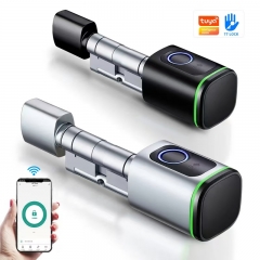 Wireless Smart Cylinder Lock/ TT Lock